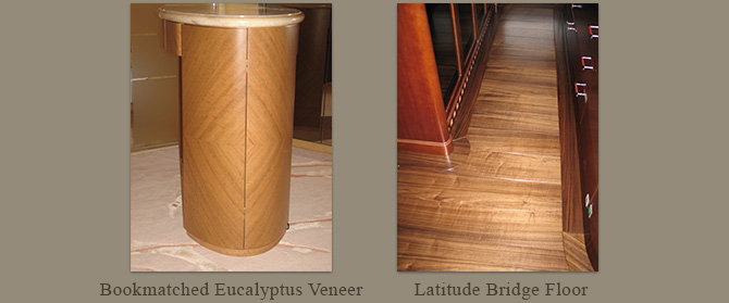 Bookmatched eucalyptus veneer & Latitude bridge floor